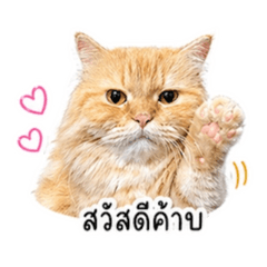 Mu Bobo