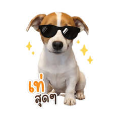 Kammika_20260430161842