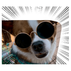 chaoguaycj_20260430161532