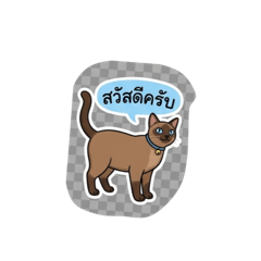 CaTcha_20260430162013