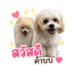 Puwadech_20260430161920