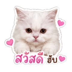 Sorawit_20260430161805