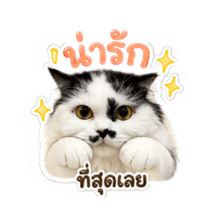 Hongg_20260430162106
