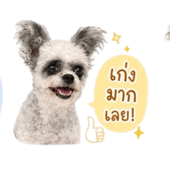 Min Min Baby_20260430162333