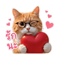 Flubby Cat