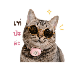 Tamz_20260430162509