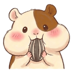 葵葵小倉鼠