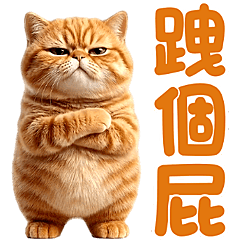 MMC - Orange Cat Animated (FS)