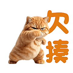 喵喵總動員 - 橘貓動起來