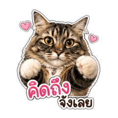 Miumiu_20260430162739
