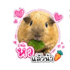 BUNBUN_20260430163008