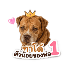 Bella_20260430163217
