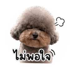 Yaju the Pooh