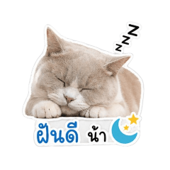 panya_20260430164118
