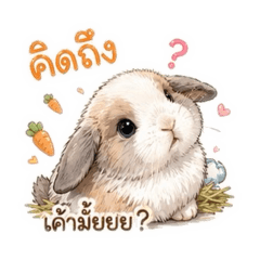 Bunny_Shiro