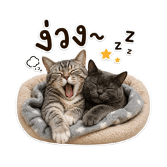 prim_20260430164720