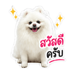 JaoMan Ver.1_20260430164702