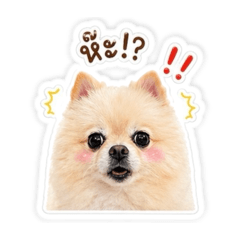 6ame_e_20260430164506
