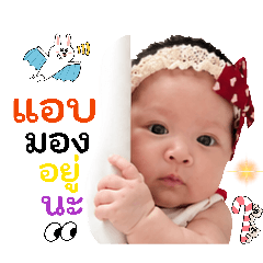 PANDA_20260430165056