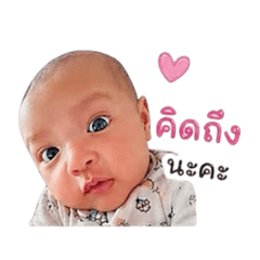 Namo krb_20260430170406