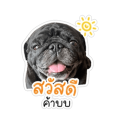 Copperpug