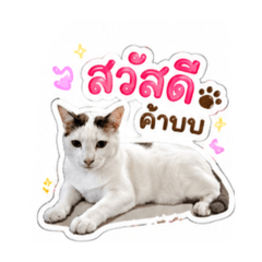 Beaulawyer_20260430170507