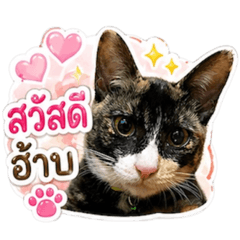 Atcharaporn_20260430170437