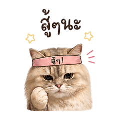 iamsin_20260430170517