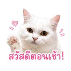 RATCHA_20260430170926