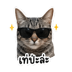 NongPangpang6cat_20260430170509