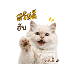 Sticker Benny