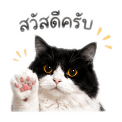 FFXNTXZ_20260430171426