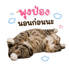 Pang_20260430171809