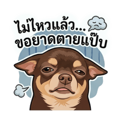 Thitima24