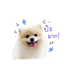 Moomo_20260430174141
