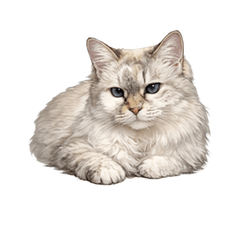 Anzu the Judgy Cat