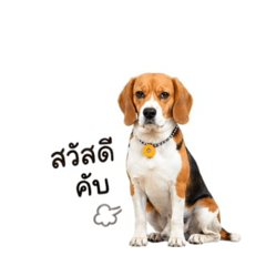 Balloon Beagle