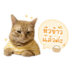 nattasitt_20260430174907
