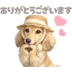 DOG STAMP ORDER_20260613060845