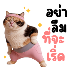 Big Meaw Tri Color Tight Fit