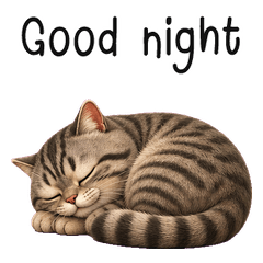 Tabby Cat Cutie(EN)