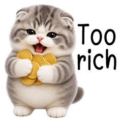 Fluffy Chubby Cat(EN)