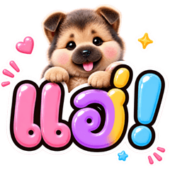 น้องหมาเยอรมัน น่ารัก จ้ำม่ำ