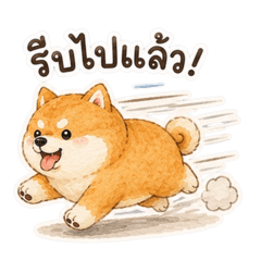Shiba Supreme