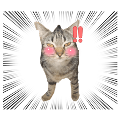 fa3saiii_20260613112413