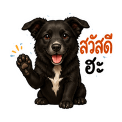 Dolly_20260613092113