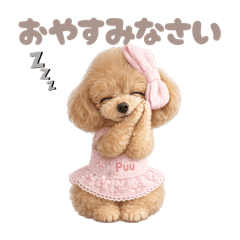 DOG STAMP ORDER_20260614080211