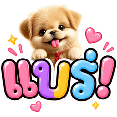 Cute, chubby puppy2 : everyday use.