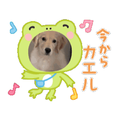 RUNA_20260613165942