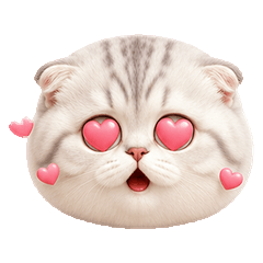 白灰胖貓 表情❤️多種心情 2